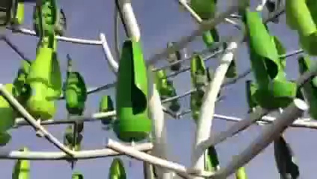 Economie Autonomisante, Activité, Autogestion, Nature ... 134