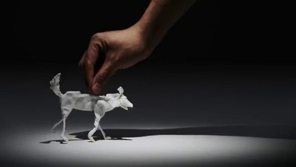 Bir parça kağıt mendille yapılabilecek en güzel animasyon