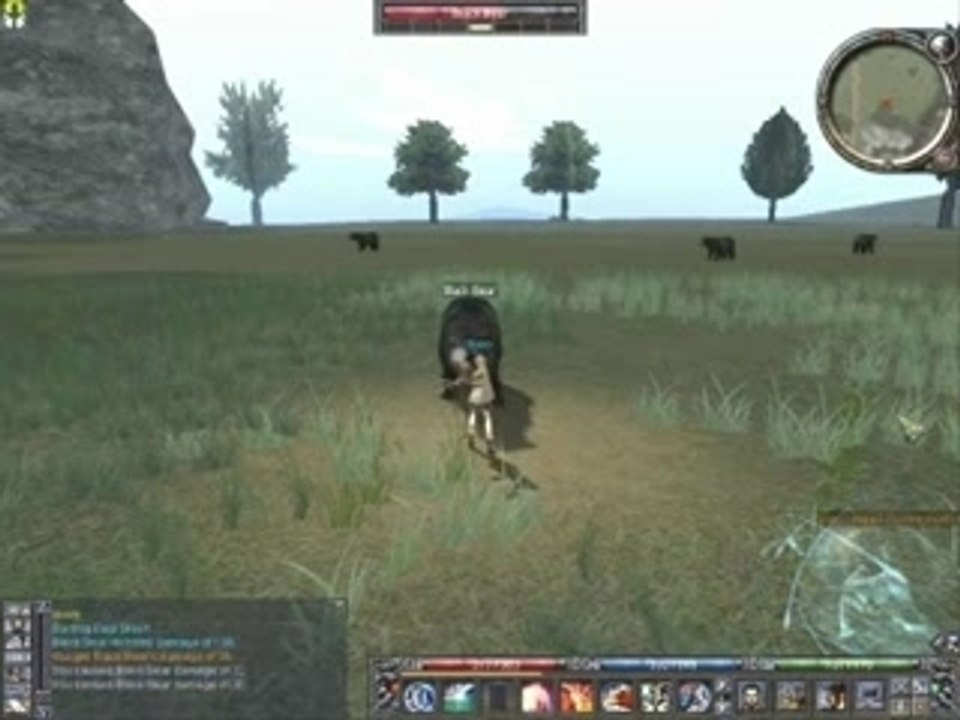 Ferentus beta 2005