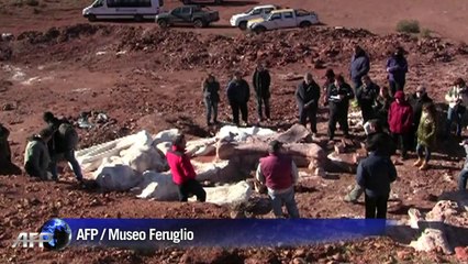 Argentine: découverte d'un énorme dinosaure