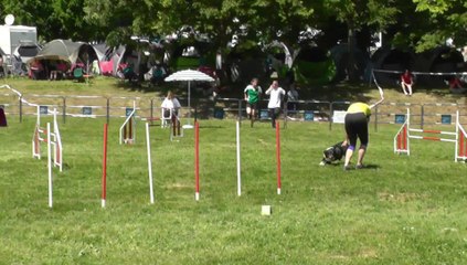 Smoothie Sélectif Trophée Cibiens M1