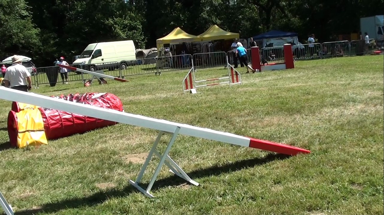 STGR LES QUATRE AS CIBEINS 2014 M3