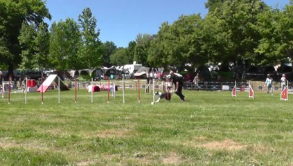 Daisy Sélectif Trophée Cibiens M2