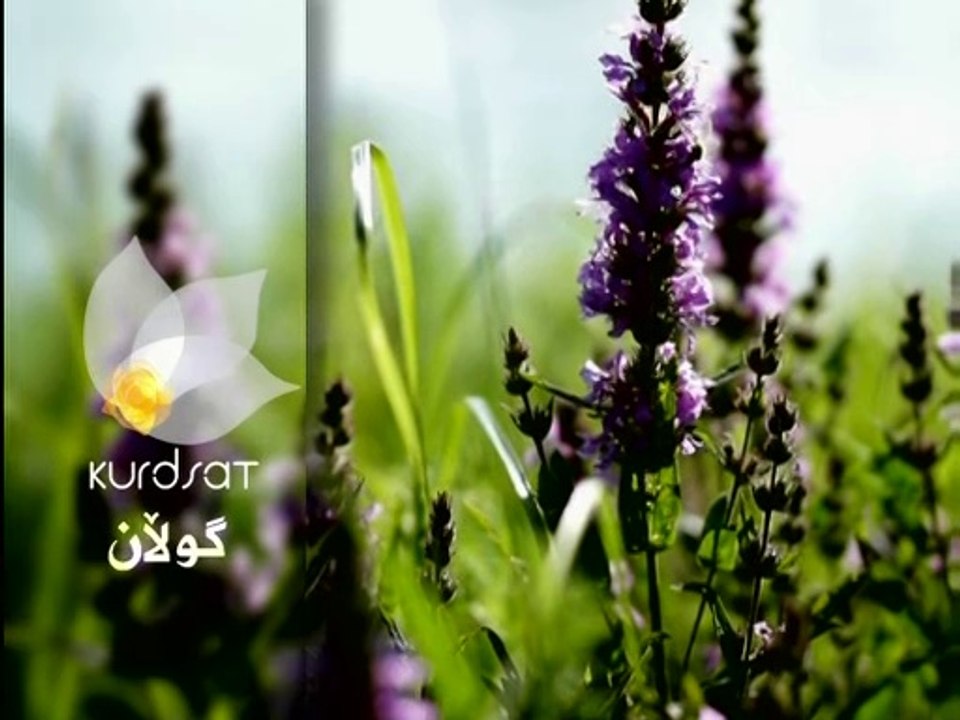 درامای سۆنگ یو ئەڵقەی 14