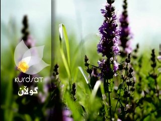 درامای سۆنگ یو ئەڵقەی 14