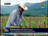 Campesinos de Honduras exigen la aprobación de una Reforma Agraria