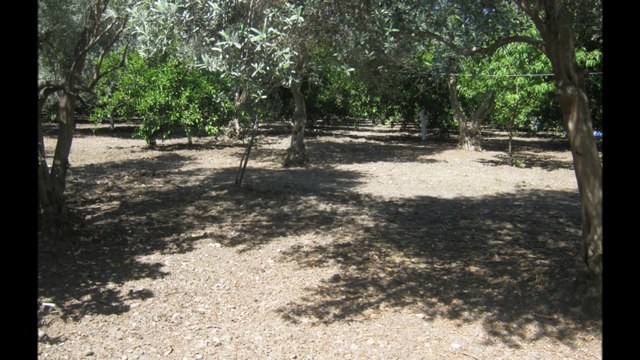 Osmaniye & Çatalbaş Çiftliği