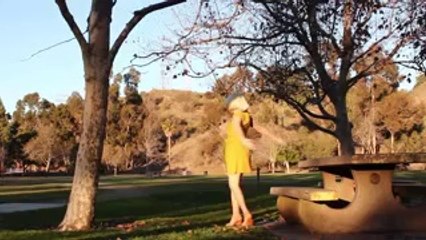 Hoshin Kiwi: Strategic Planning Tool