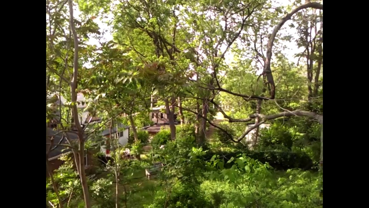 My Prayer Walk In The Garden With The Lord (Monday 05-19-2014)