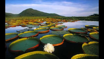 Kollam Shafi Latest Mega Hit Malayalam Mappila Album  Song 2014