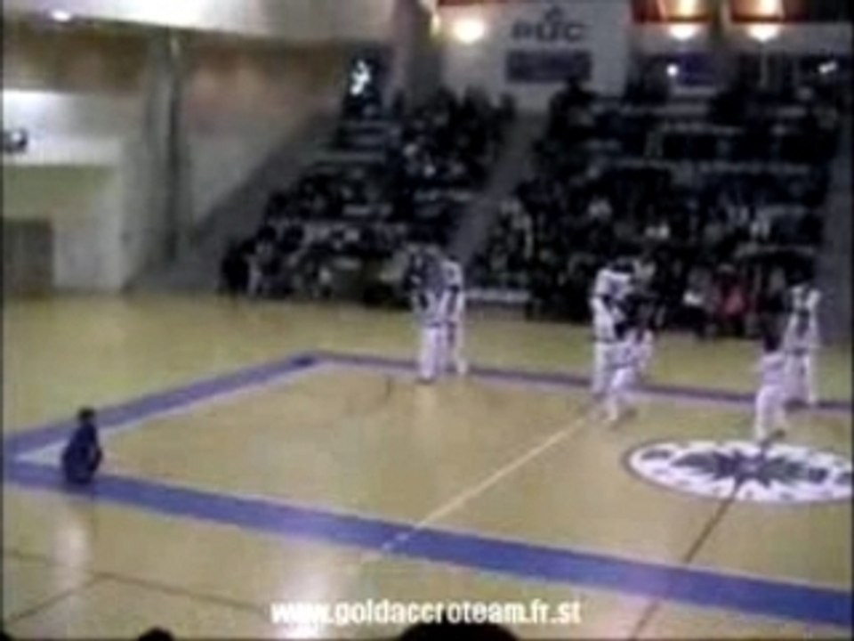 Taekwondo Tigers Demonstration 2003