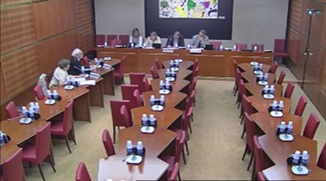 M. Jacques Borgy, Sec gl du Syndicat national des psychologues - Jeudi 4 Juillet 2013