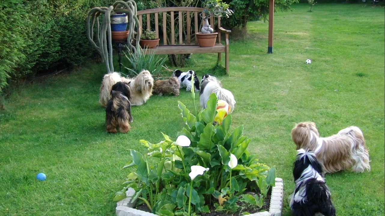 1er pelouse pour les bb de falbala