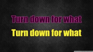 DJ Snake & Lil Jon - Turn Down for What (Karaoke/Instrumental) with lyrics [Official Video]