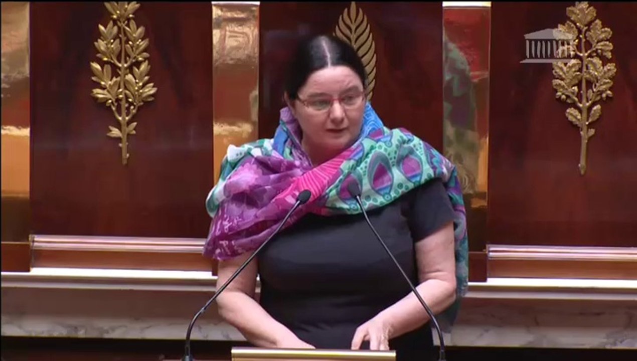 Hémicycle-Projet de Loi "Autorité parentale et intérêt de l'enfant".