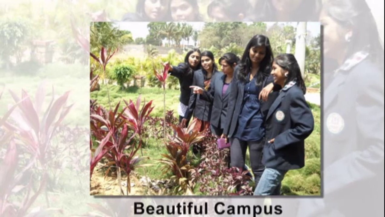 About Administrative Management College