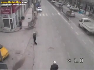 Hırsızlık Yapan Ördeği Yakalayıp Polise Teslim Eden Köpek