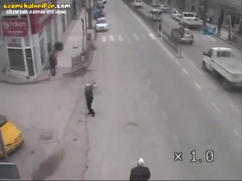 Hırsızlık Yapan Ördeği Yakalayıp Polise Teslim Eden Köpek