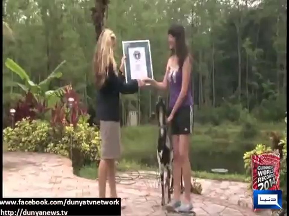 Skateboarding goat Happie sets a Guinness World Record