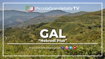 Gal Nebrodi Plus - Piccola Grande Italia