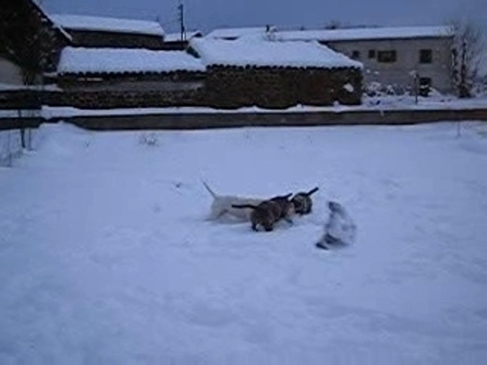 24012007 023