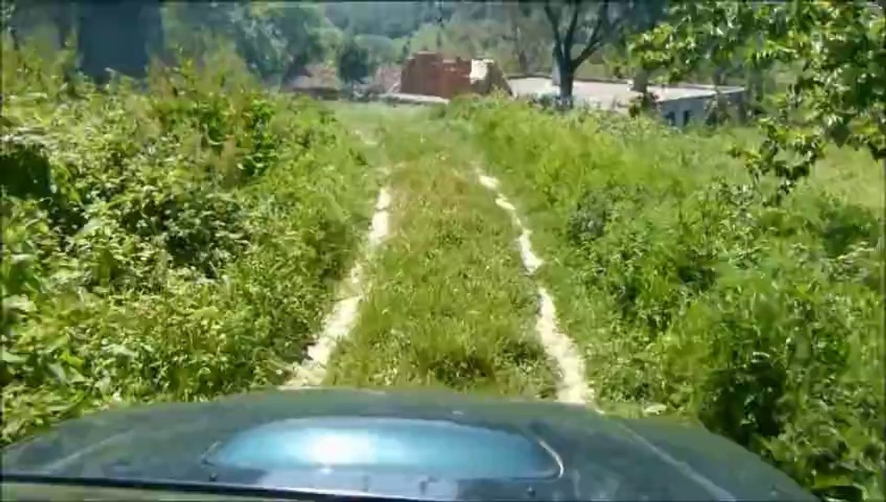 Foresting with Subaru Forester