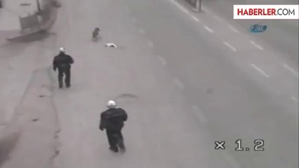 Polisi Görünce Avını Bırakıp Kaçan Köpek