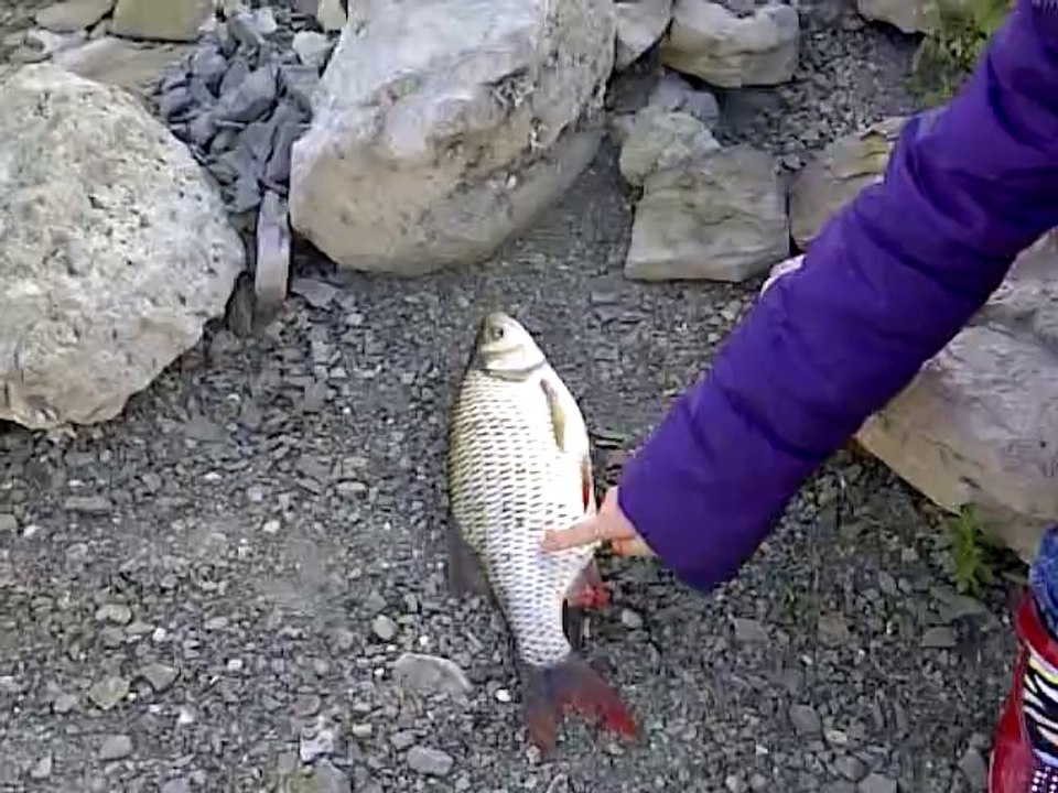 Kızımın 1 Kiloluk Kızılkanat Avı Esra ERMİŞ