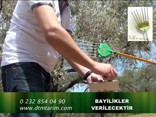 demirayak  flex-t zeytin hasad makinası