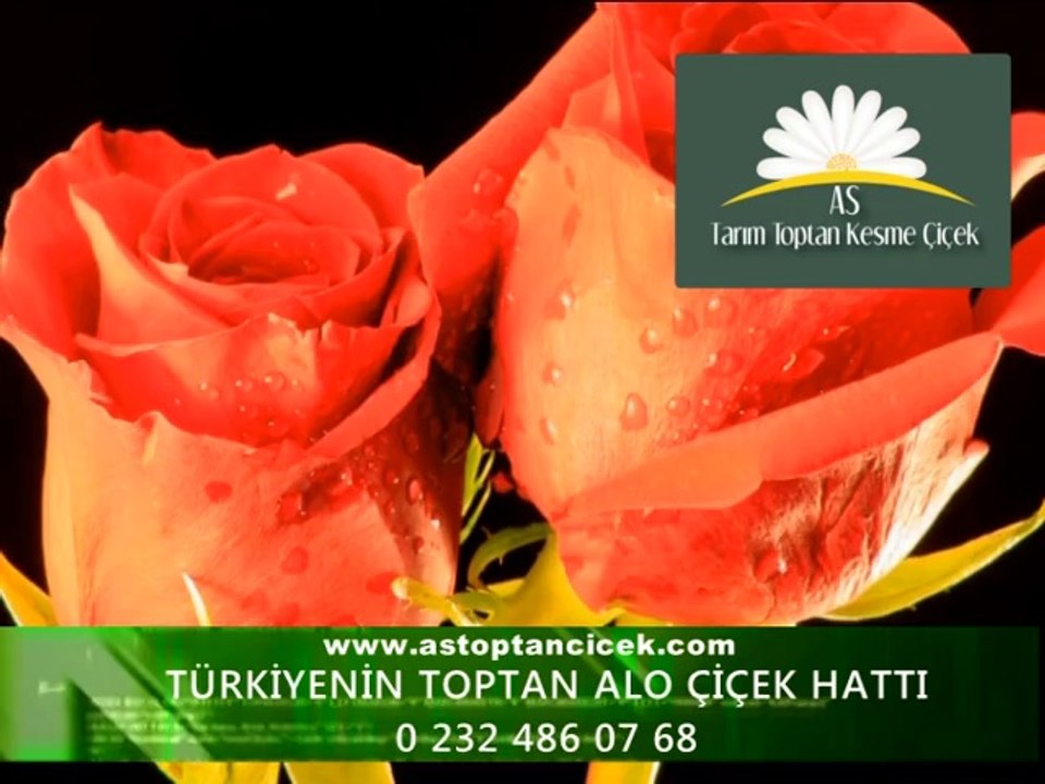 as toptan çiçek