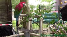 Animal Event 2014