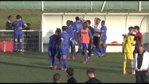 [CFA 2] ESTAC - FC  Sarreguemines : Résumé