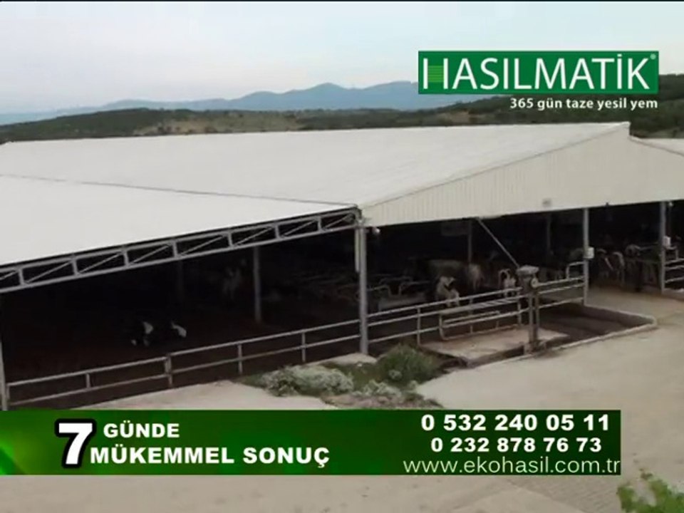 hasılmatik son