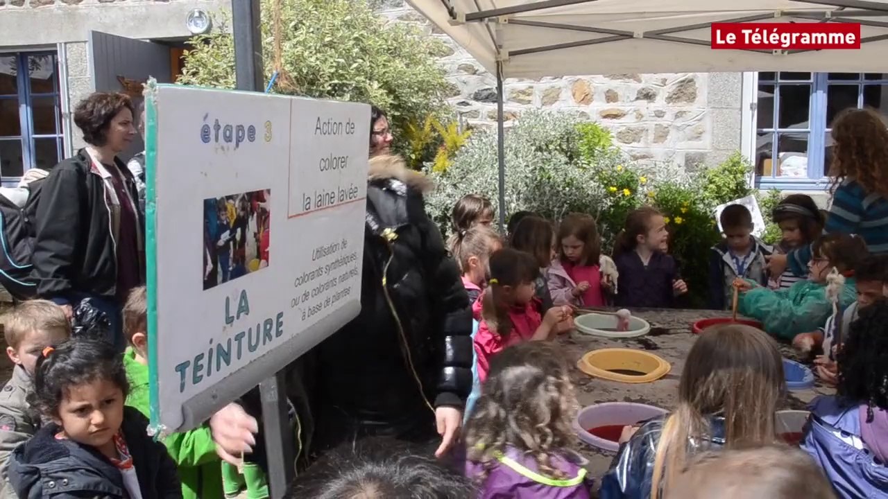 Saint-Brieuc. La Ville-Oger : les enfants découvrent le cycle de la laine
