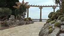 LE JARDIN EXOTIQUE DE MONACO