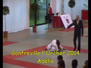 Video Tournoi Gonfreville Adelia