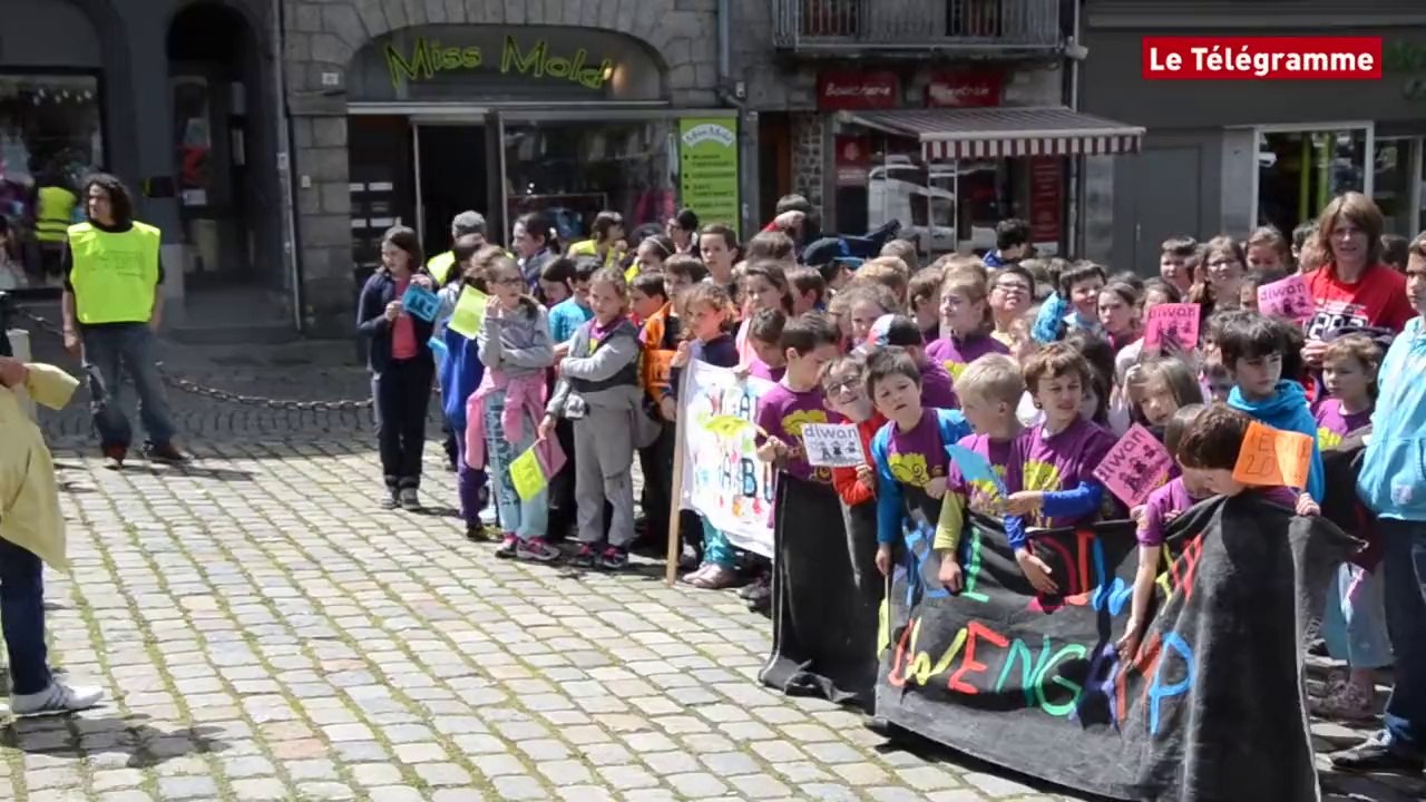 Guingamp. 252 enfants à la mini redadeg