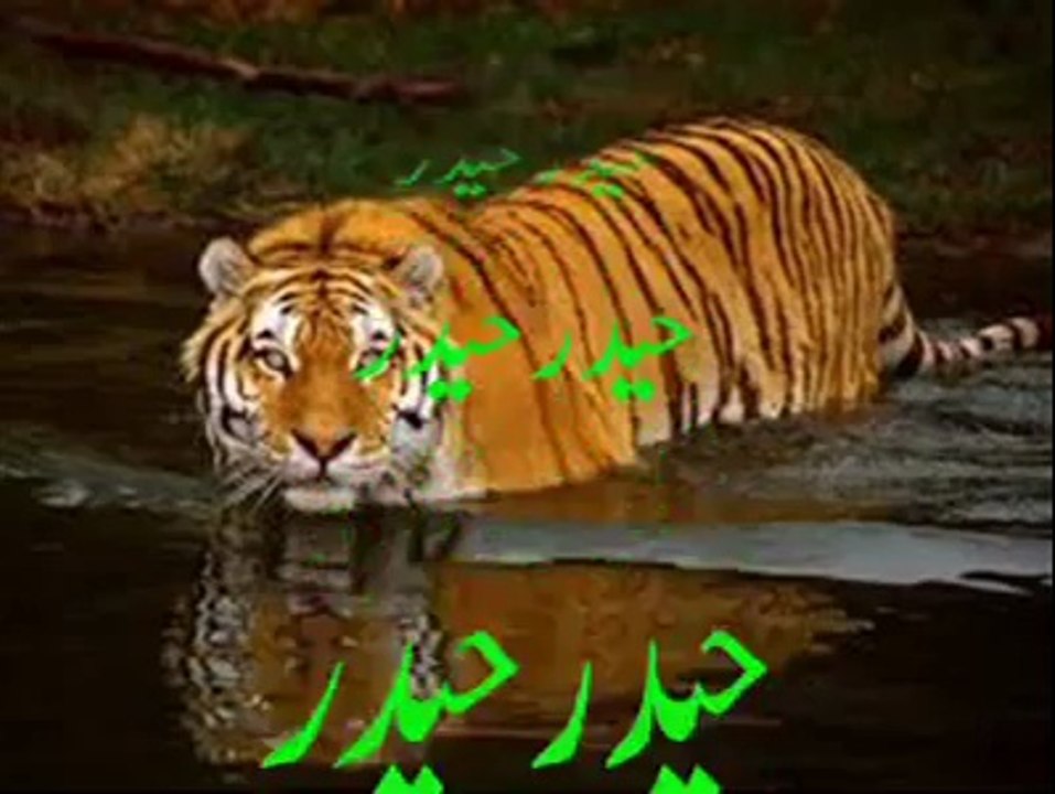 ya ali