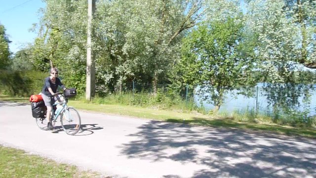 Le chant des grenouilles...