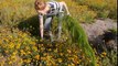 Wildflowers and Wildlife Thrive at BACARDI Bottling Facility
