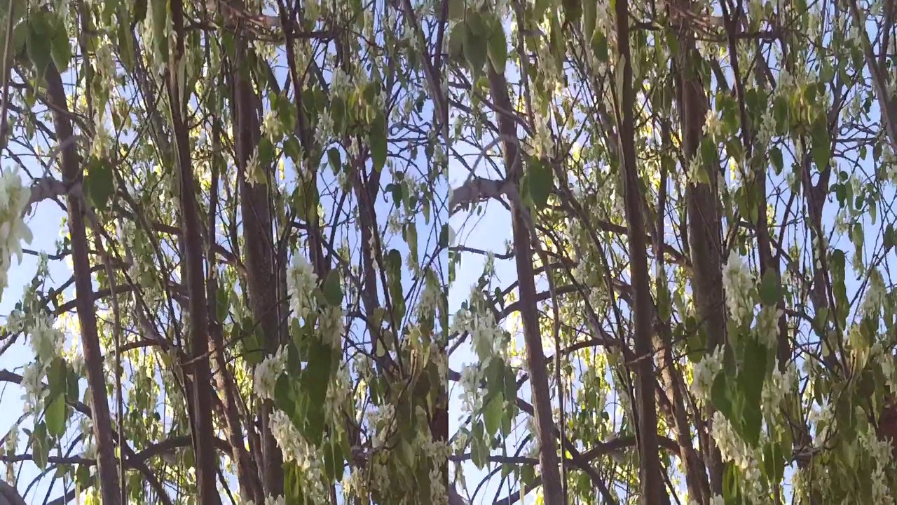 3D Full HD ирга