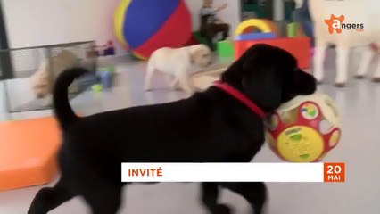 JT MAI 2014 [S.5] [E.12] - Le Journal du mardi 20 mai 2014