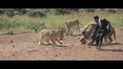 Il joue au foot avec des lions