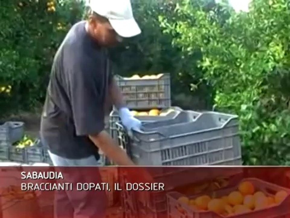 LATINA: BRACCIANTI DOPATI, IL DOSSIER