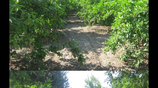 Osmaniye & Çatalbaş Çiftliği