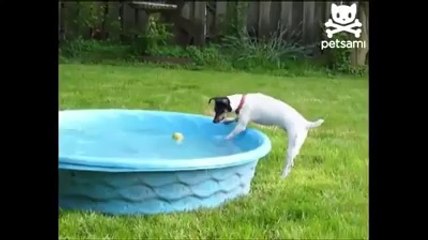 Yazık çok güldüm ya :)