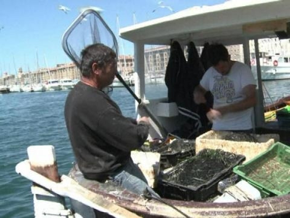 Elections européennes: ce qu'attendent les pêcheurs marseillais - 20/05