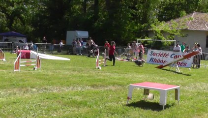 Diwan Sélectif Trophéé Cibiens M1