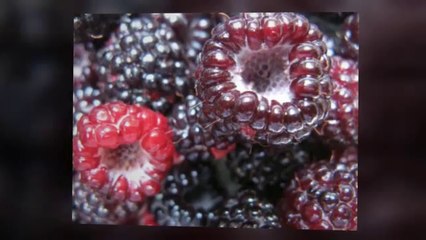 Salud, Bienestar & Belleza - Soul