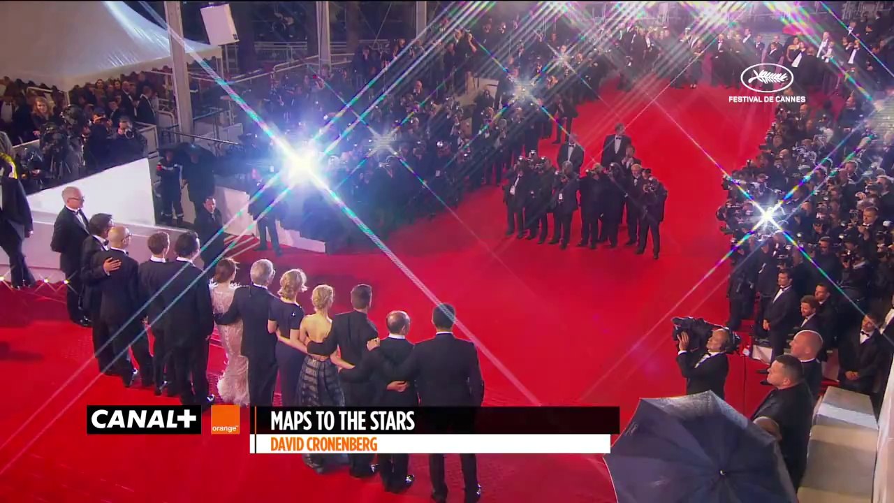 Cannes 2014 - MAPS TO THE STARS _ Red Carpet